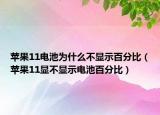 蘋果11電池為什么不顯示百分比（蘋果11顯不顯示電池百分比）