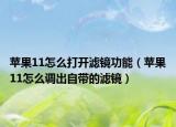 蘋果11怎么打開濾鏡功能（蘋果11怎么調(diào)出自帶的濾鏡）