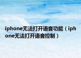 iphone無法打開語音功能（iphone無法打開語音控制）