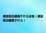 硬盤驅(qū)動器屬于什么設(shè)備（硬盤驅(qū)動器屬于什么）