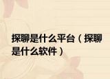 探聊是什么平臺（探聊是什么軟件）