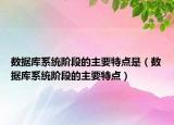 數(shù)據(jù)庫系統(tǒng)階段的主要特點是（數(shù)據(jù)庫系統(tǒng)階段的主要特點）
