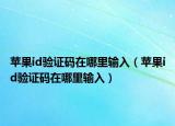 蘋果id驗證碼在哪里輸入（蘋果id驗證碼在哪里輸入）