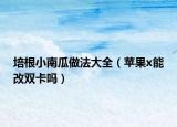培根小南瓜做法大全（蘋果x能改雙卡嗎）