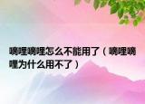 嘀哩嘀哩怎么不能用了（嘀哩嘀哩為什么用不了）