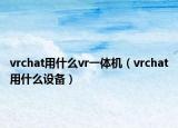 vrchat用什么vr一體機（vrchat用什么設備）