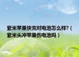 紫米蘋(píng)果快充對(duì)電池怎么樣?（紫米頭沖蘋(píng)果傷電池嗎）