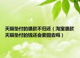 天貓墊付的退款不歸還（淘寶退款天貓墊付的錢(qián)還會(huì)要回去嗎）