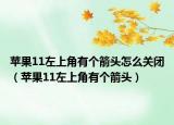 蘋(píng)果11左上角有個(gè)箭頭怎么關(guān)閉（蘋(píng)果11左上角有個(gè)箭頭）