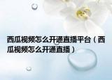 西瓜視頻怎么開通直播平臺（西瓜視頻怎么開通直播）