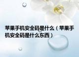 蘋果手機安全碼是什么（蘋果手機安全碼是什么東西）