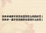 拼多多商家不發(fā)貨會(huì)受到怎么樣的處罰（拼多多一直不發(fā)貨商家會(huì)受到什么處罰）