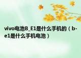 vivo電池B_E1是什么手機(jī)的（b-e1是什么手機(jī)電池）