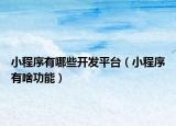 小程序有哪些開發(fā)平臺（小程序有啥功能）