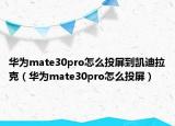 華為mate30pro怎么投屏到凱迪拉克（華為mate30pro怎么投屏）