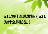 a11為什么總發(fā)熱（a11為什么叫仿生）