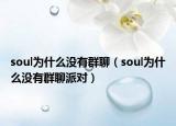 soul為什么沒有群聊（soul為什么沒有群聊派對）