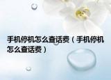 手機停機怎么查話費（手機停機怎么查話費）