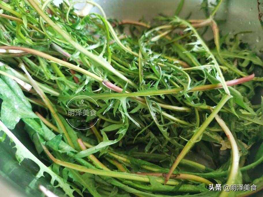 蒲公英即是中藥又是野菜，生吃做餡都可以，包餃子吃太香了