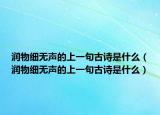 潤物細(xì)無聲的上一句古詩是什么（潤物細(xì)無聲的上一句古詩是什么）
