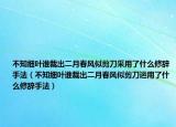 不知細(xì)葉誰裁出二月春風(fēng)似剪刀采用了什么修辭手法（不知細(xì)葉誰裁出二月春風(fēng)似剪刀運用了什么修辭手法）