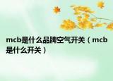 mcb是什么品牌空氣開關(guān)（mcb是什么開關(guān)）