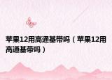 蘋(píng)果12用高通基帶嗎（蘋(píng)果12用高通基帶嗎）