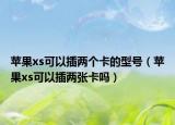 蘋果xs可以插兩個卡的型號（蘋果xs可以插兩張卡嗎）