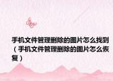 手機文件管理刪除的圖片怎么找到（手機文件管理刪除的圖片怎么恢復(fù)）