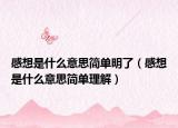 感想是什么意思簡單明了（感想是什么意思簡單理解）