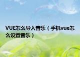 VUE怎么導(dǎo)入音樂（手機(jī)vue怎么設(shè)置音樂）
