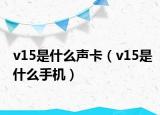 v15是什么聲卡（v15是什么手機(jī)）