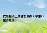 皮革鞋染上顏色怎么辦（蘋果xr屬于幾代）