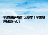 蘋果觸控id是什么意思（蘋果觸控id是什么）
