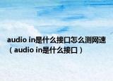audio in是什么接口怎么測網(wǎng)速（audio in是什么接口）