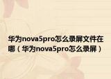 華為nova5pro怎么錄屏文件在哪（華為nova5pro怎么錄屏）