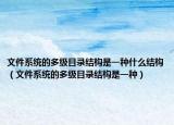 文件系統(tǒng)的多級目錄結(jié)構(gòu)是一種什么結(jié)構(gòu)（文件系統(tǒng)的多級目錄結(jié)構(gòu)是一種）