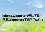 iphone12appstore無法下載（蘋果11appstore下載不了軟件）