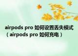 airpods pro 如何設(shè)置丟失模式（airpods pro 如何充電）