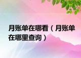 月賬單在哪看（月賬單在哪里查詢）