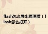 flash怎么導(dǎo)出原畫質(zhì)（flash怎么打開）