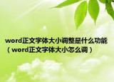 word正文字體大小調(diào)整是什么功能（word正文字體大小怎么調(diào)）