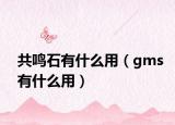 共鳴石有什么用（gms有什么用）