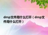 dmp文件用什么打開（dmp文件用什么打開）