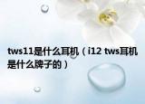 tws11是什么耳機(jī)（i12 tws耳機(jī)是什么牌子的）