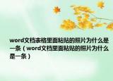 word文檔表格里面粘貼的照片為什么是一條（word文檔里面粘貼的照片為什么是一條）