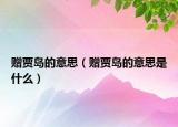 贈賈島的意思（贈賈島的意思是什么）