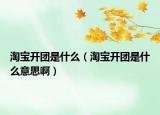 淘寶開團(tuán)是什么（淘寶開團(tuán)是什么意思?。? /></span></a>
                        <h2><a href=