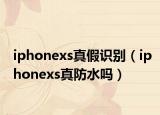 iphonexs真假識(shí)別（iphonexs真防水嗎）