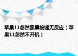 蘋(píng)果11忽然黑屏按鍵無(wú)反應(yīng)（蘋(píng)果11忽然不開(kāi)機(jī)）